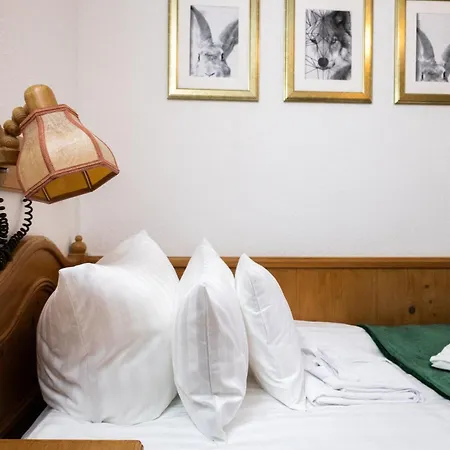 Hotel zum See, Titisee-3